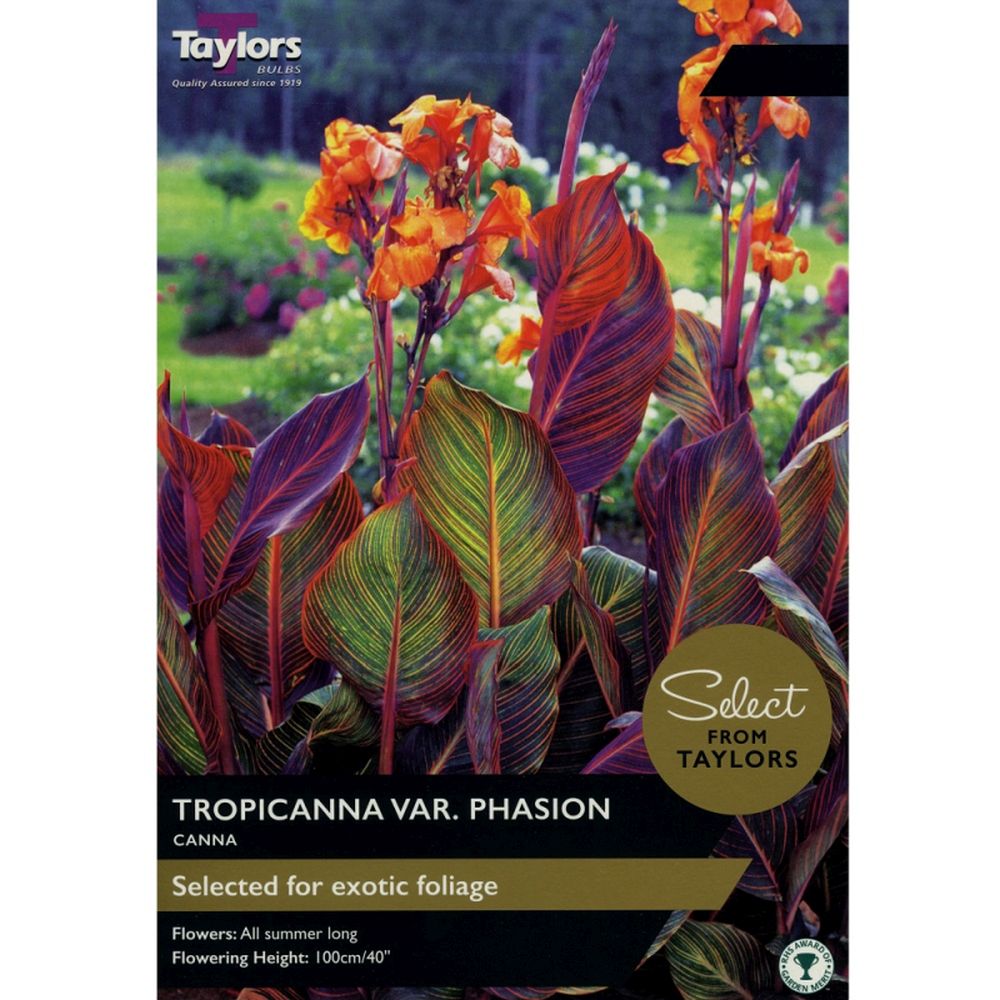 Canna Tropicanna Select Premium